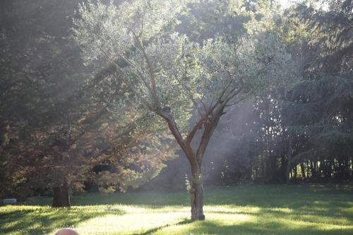 Mas Des Comtes De Provence Hotel